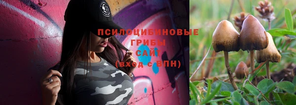 соль ск Надым