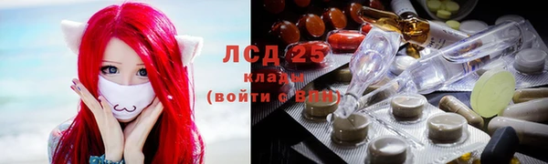 соль ск Надым