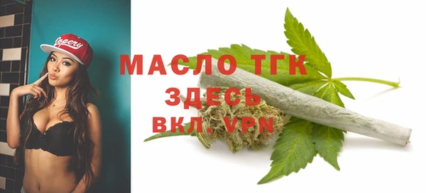 соль ск Надым